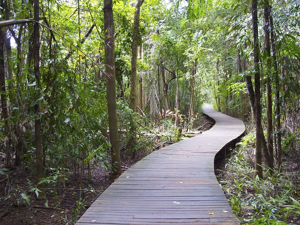 深圳貼片石英晶振廠家